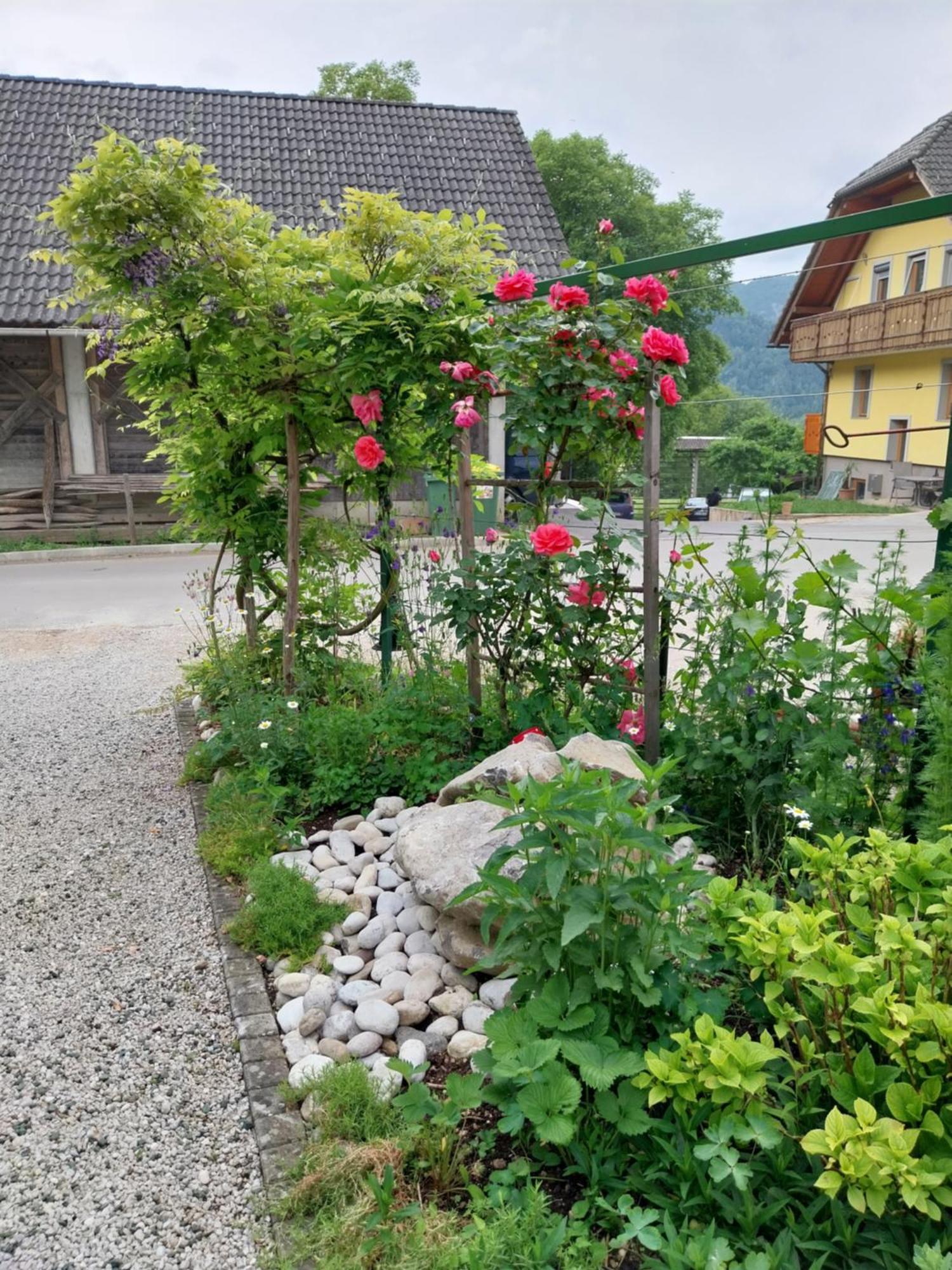 Sobe U Sirrc Bed and Breakfast Bled Exteriör bild